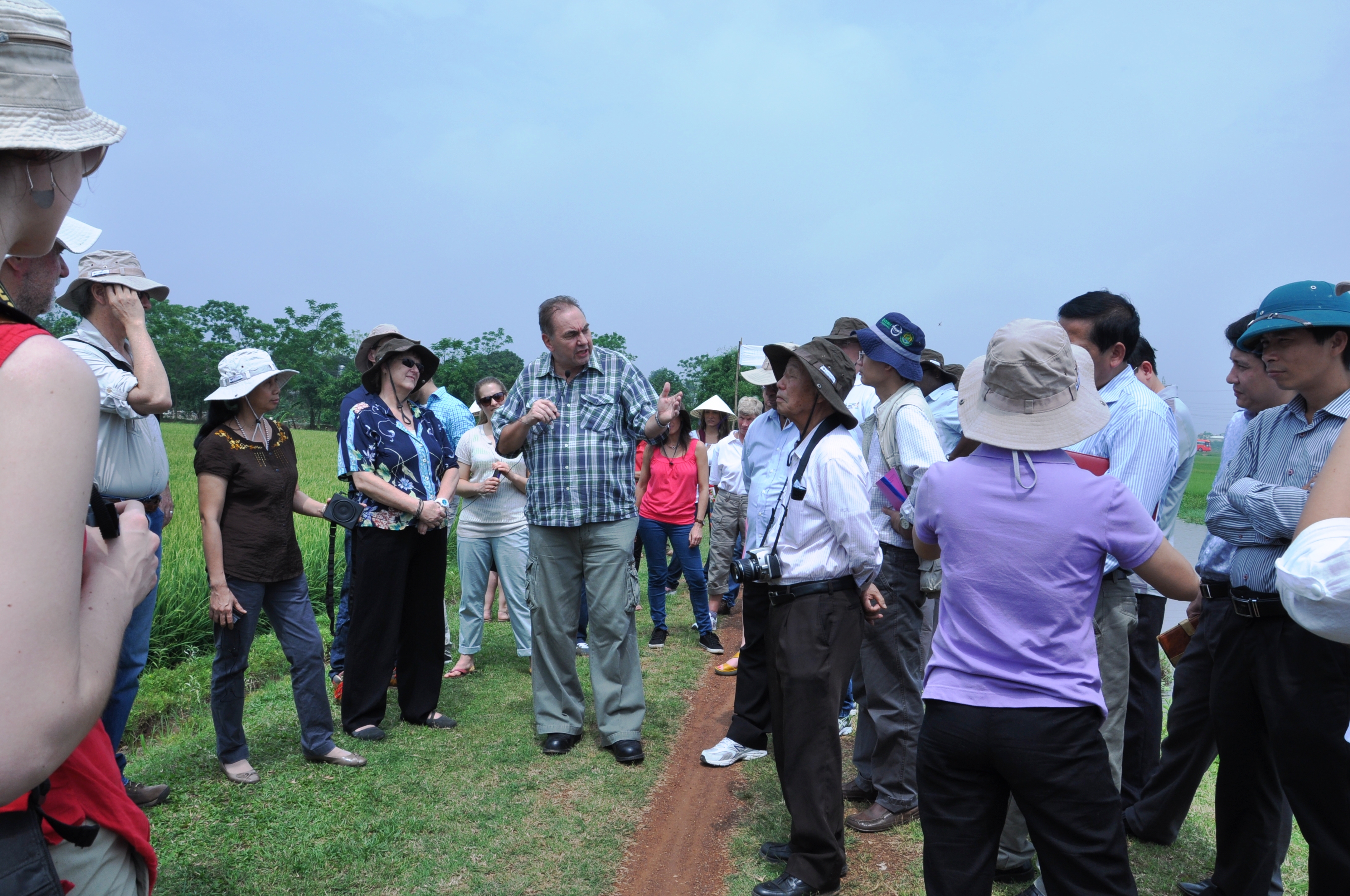 Visting large-scale rice-field model in Tam Nong, Phu Tho